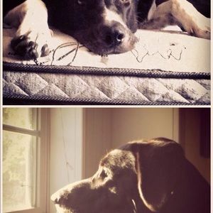 Meet your Posher, Angela